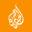 Favicon type