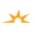 Favicon type