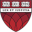 Favicon type