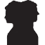 Favicon type
