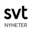 Favicon type