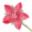 Favicon type