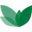 Haifa Group